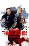 Трюфельный пёс королевы Джованны