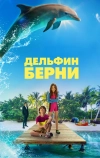 Дельфин Берни