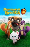 Реальная белка 2