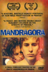 Мандрагора