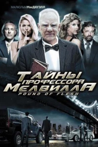 Тайны профессора Мелвилла (2010)
