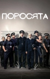 Поросята