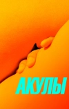Акулы