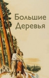 Большие деревья