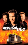 Черный пес